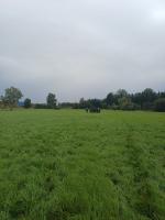 WhatsApp_Image_2025-09-21_at_08.10.33