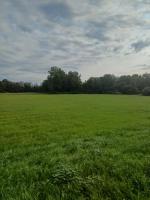 WhatsApp_Image_2025-09-21_at_08.11.02