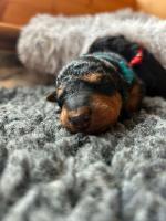 WhatsApp_Image_2025-10-21_at_15.54.53