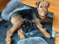 WhatsApp_Image_2025-10-21_at_15.54.531