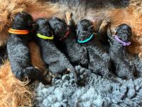 WhatsApp_Image_2025-10-21_at_15.54.532