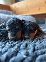 WhatsApp_Image_2025-10-21_at_15.55.03