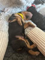 WhatsApp_Image_2025-10-21_at_16.23.30