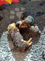 WhatsApp_Image_2025-10-26_at_14.13.41