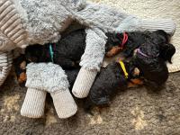 WhatsApp_Image_2025-10-30_at_12.26.55