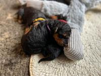 WhatsApp_Image_2025-10-30_at_12.26.551