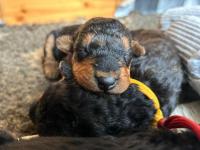 WhatsApp_Image_2025-10-30_at_12.26.554