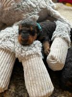 WhatsApp_Image_2025-10-30_at_12.26.555