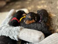 WhatsApp_Image_2025-10-30_at_12.26.56