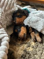 WhatsApp_Image_2025-10-30_at_12.26.561