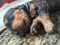 WhatsApp_Image_2025-10-30_at_12.26.57