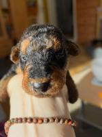 WhatsApp_Image_2025-10-31_at_14.05.47