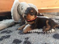 WhatsApp_Image_2025-11-05_at_19.59.21