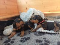 WhatsApp_Image_2025-11-05_at_19.59.52