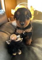 WhatsApp_Image_2025-11-15_at_15.14.20