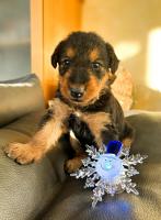 WhatsApp_Image_2025-11-15_at_15.14.201