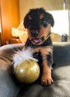 WhatsApp_Image_2025-11-15_at_15.14.202