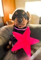 WhatsApp_Image_2025-11-15_at_15.14.203