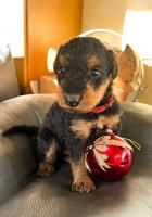 WhatsApp_Image_2025-11-15_at_15.14.204