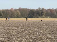 WhatsApp_Image_2025-11-15_at_17.39.18