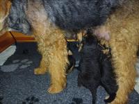 WhatsApp_Image_2025-11-16_at_17.52.311