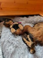 WhatsApp_Image_2025-11-22_at_09.38.27