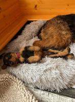 WhatsApp_Image_2025-11-22_at_09.38.28