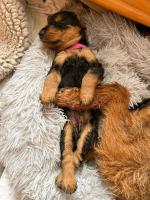 WhatsApp_Image_2025-11-22_at_09.38.281