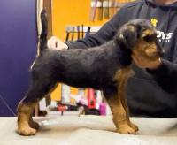 WhatsApp_Image_2025-12-19_at_08.43.32