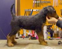 WhatsApp_Image_2025-12-19_at_08.56.29