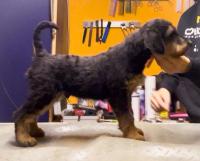 WhatsApp_Image_2025-12-19_at_08.59.28