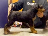 WhatsApp_Image_2025-12-19_at_09.42.47