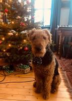 WhatsApp_Image_2025-12-24_at_09.44.28