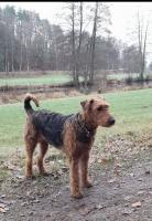 WhatsApp_Image_2025-12-24_at_13.53.56