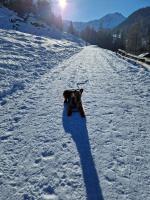 WhatsApp_Image_2025-12-24_at_17.53.42