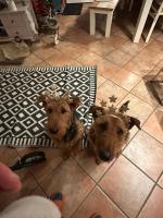 WhatsApp_Image_2025-12-24_at_18.54.47