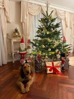 WhatsApp_Image_2025-12-24_at_19.47.05