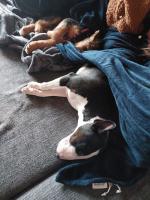 WhatsApp_Image_2025-12-25_at_15.34.13