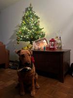 WhatsApp_Image_2025-12-25_at_17.55.54