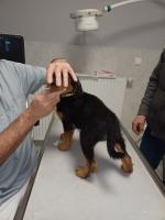 WhatsApp_Image_2025-12-30_at_07.31.30