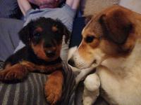 WhatsApp_Image_2025-12-30_at_07.31.308