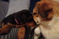 WhatsApp_Image_2025-12-30_at_07.31.309