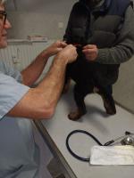 WhatsApp_Image_2025-12-30_at_07.47.29