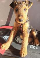 WhatsApp_Image_2025-12-30_at_09.25.05