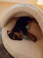 WhatsApp_Image_2026-01-04_at_08.01.07