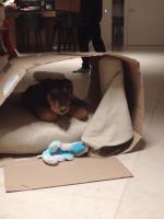 WhatsApp_Image_2026-01-06_at_16.35.55