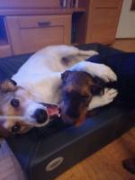 WhatsApp_Image_2026-01-11_at_06.26.331