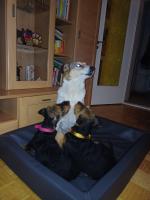 WhatsApp_Image_2026-01-11_at_06.26.332