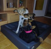 WhatsApp_Image_2026-01-11_at_06.26.333-1