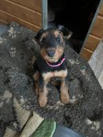 WhatsApp_Image_2026-01-11_at_09.08.15